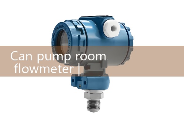 Pump room flowmeter